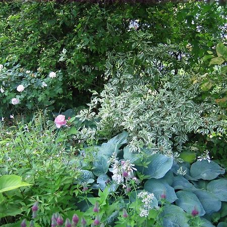Il Giardino Dell'Artemisia Pila (Valle d'Aosta) Exterior foto