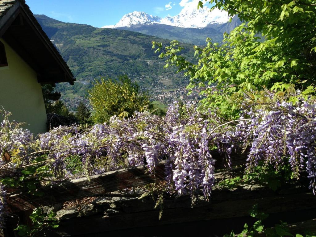 Il Giardino Dell'Artemisia Pila (Valle d'Aosta) Exterior foto